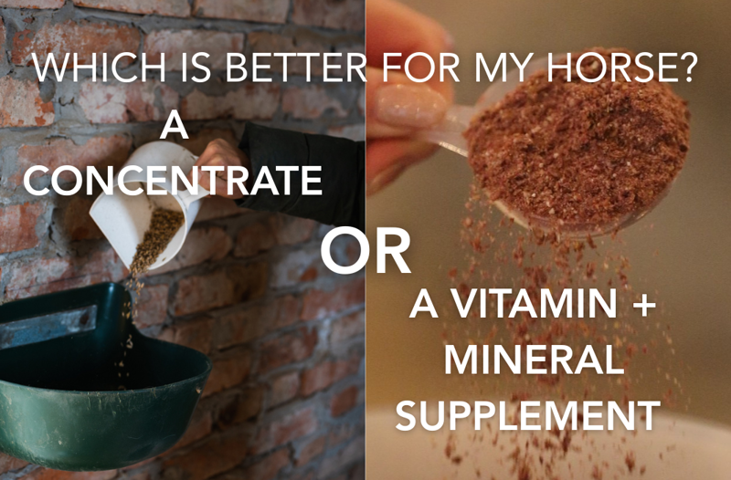 Is It Better To Feed My Horse Concentrates Or A Vitamin And Mineral Balancer? | Equine Science Matters™